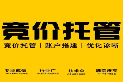 百度竞价代运营公司成功案例分析